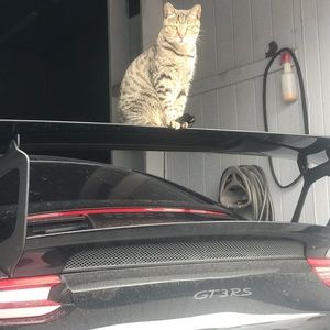 Meet your Posher, Tyrone